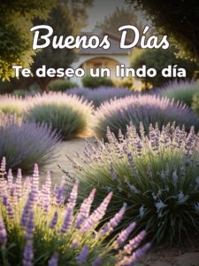 Frases lindas de buenos días para una amiga