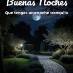 buenas noches que tengas una noche tranquila