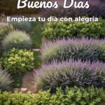 buenos días empieza tu día con alegría