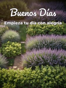 Frases lindas para dar los buenos días para WhatsApp