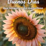 buenos días que tengas un día maravilloso
