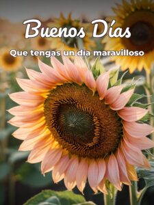 Frases lindas para decir buenos días para descargar