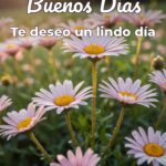 buenos días te deseo un lindo día