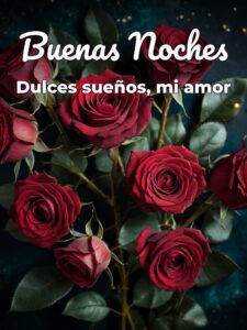 Frases lindas para mi novia de buenas noches para Facebook