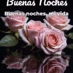buenas noches buenas noches, mi vida