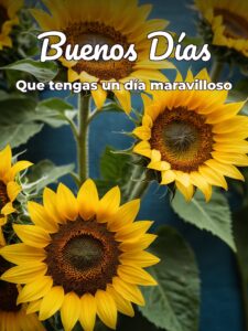 Frases nuevas de buenos días para WhatsApp