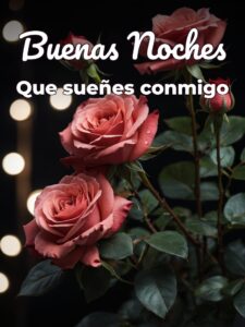 Frases para buenas noches para mi novia para celular