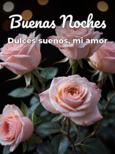 Frases para buenas noches para mi novia para WhatsApp