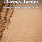 buenas tardes disfruta de esta hermosa tarde