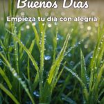 buenos días empieza tu día con alegría