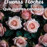 buenas noches que sueñes conmigo