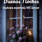 buenas noches dulces sueños, mi amor