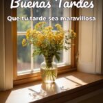 buenas tardes que tu tarde sea maravillosa