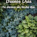 buenos días te deseo un lindo día