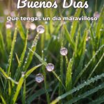 buenos días que tengas un día maravilloso