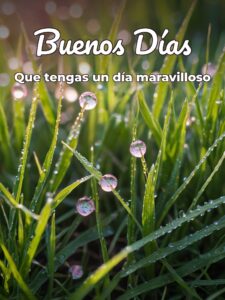Frases para dar los buenos días a una mujer para celular