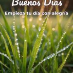 buenos días empieza tu día con alegría