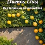 buenos días que tengas un día maravilloso