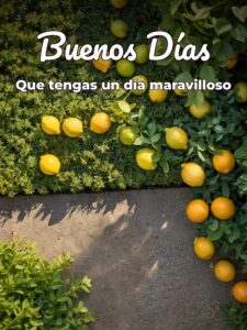 Frases para dar los buenos días para celular