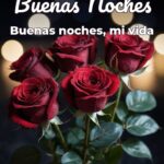 buenas noches buenas noches, mi vida
