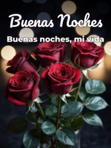 Frases para darle las buenas noches a mi novia para celular