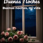 buenas noches buenas noches, mi vida