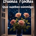 buenas noches que sueñes conmigo