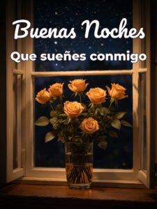 Frases para decir buenas noches mi amor para WhatsApp