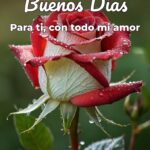 buenos días para ti, con todo mi amor
