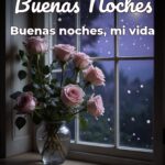 buenas noches buenas noches, mi vida