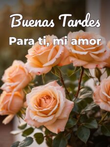 Frases para desear buenas tardes a mi novia para Facebook y WhatsApp