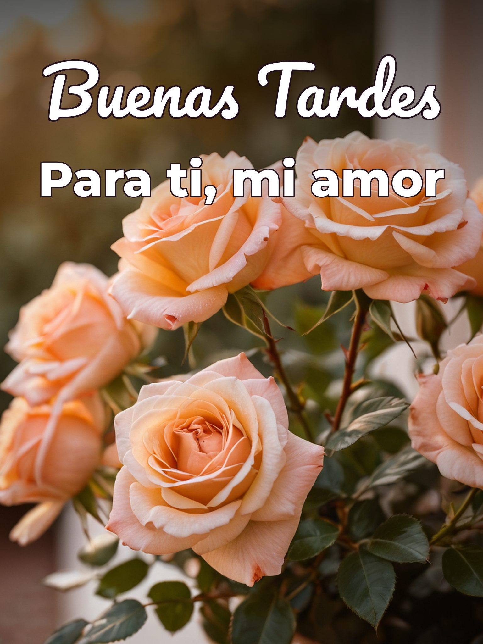 Frases para desear buenas tardes a mi novia para Facebook y WhatsApp