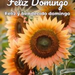 feliz domingo feliz y bendecido domingo