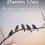 buenos días te deseo un lindo día