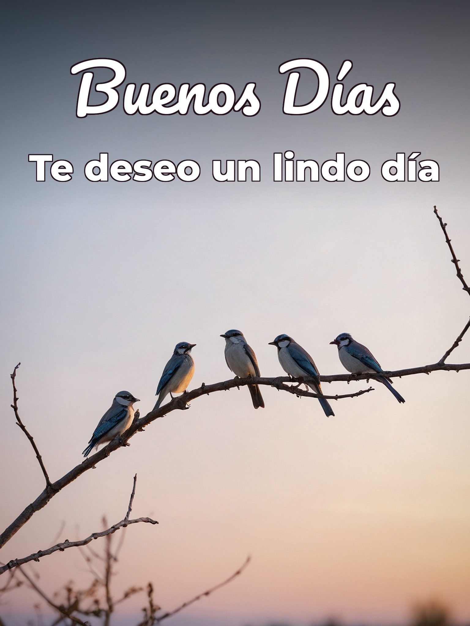 Frases para desear los buenos días para celular