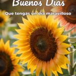 buenos días que tengas un día maravilloso