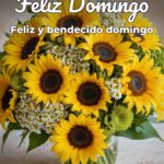 feliz domingo feliz y bendecido domingo