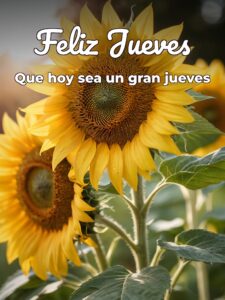 Frases para desear un feliz jueves para Facebook
