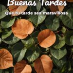 buenas tardes que tu tarde sea maravillosa