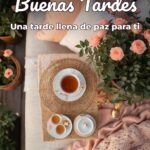 buenas tardes una tarde llena de paz para ti