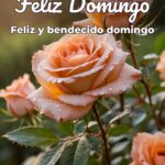 feliz domingo feliz y bendecido domingo