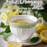 feliz domingo que dios bendiga tu domingo