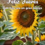 feliz jueves que hoy sea un gran jueves