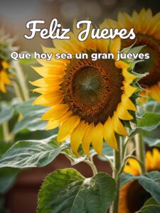 Frases para el día jueves para Facebook