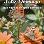 feliz domingo que hoy sea un gran domingo