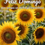 feliz domingo que tengas un domingo maravilloso