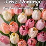 feliz domingo que dios bendiga tu domingo