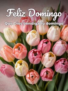 Frases para hoy domingo para celular