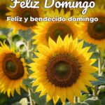 feliz domingo feliz y bendecido domingo