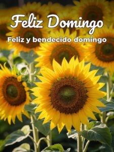 Frases para hoy domingo para WhatsApp